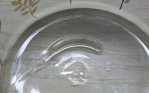 不知道刷到这个是不是老天给天天喝无盖马克杯的我一个明示，反正看完人有点麻
