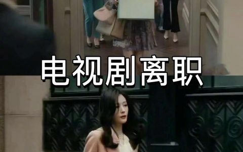 电视剧离职VS我离职 ​​​