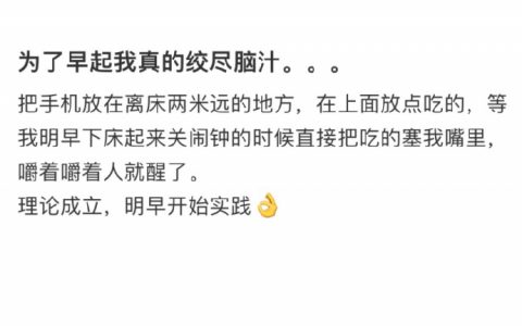 为了早起绞尽脑汁了