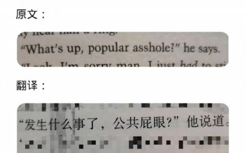 哈哈，翻译仙人 ​​​
