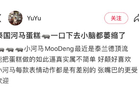 泰国的小河马蛋糕
