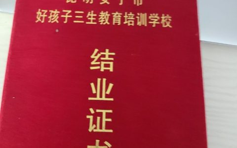 好久没有再想起网瘾学校了。