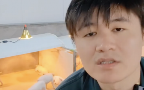 说的我要哭了，看完竟然莫名有点感动