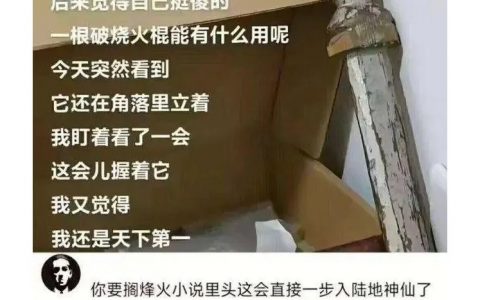 我不练剑了…