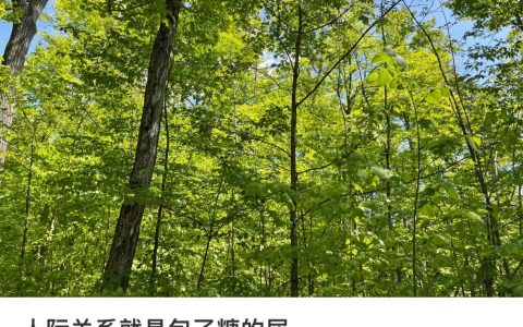 人际关系就是包了糖的屎 ​​​