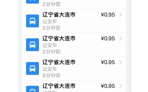 坐公交车差点把公交车买了