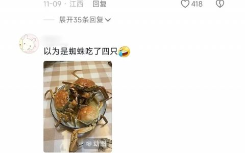轻断食：把一种食物吃到轻微断货