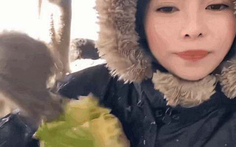 快手上的农村生活，现代赛博桃花源记