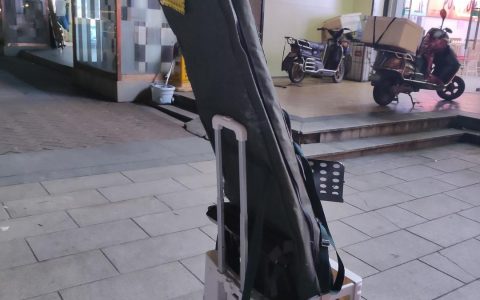 我在武汉做琴师