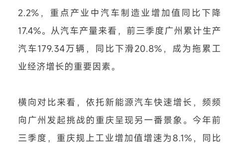 成败新能源车
