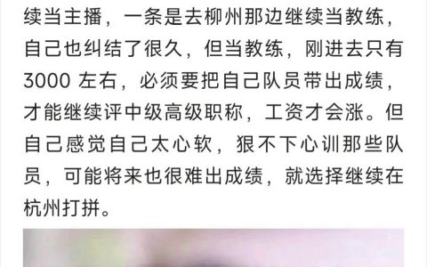 看看吴柳芳退役的10年里都做了哪些工作