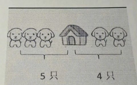 8只，还有一只是出题的