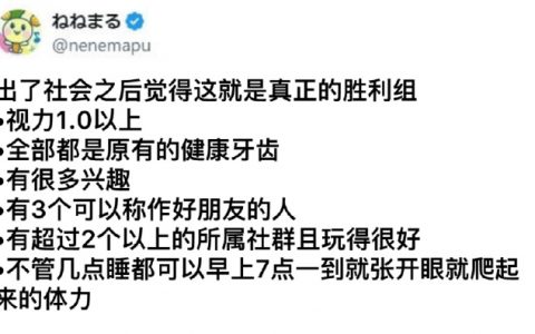 出社会后真正的胜利组be like: