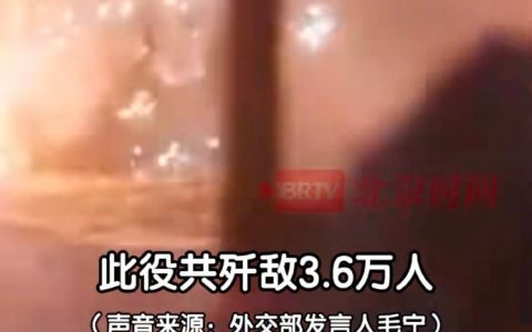 24号包饺子 ​​​
