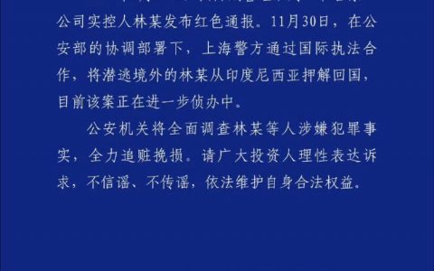 和合系公司实控人林某被押解回国