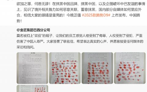 比亚迪李云飞回应巴西工厂施工方遭密集检查：欲加之罪何患无辞