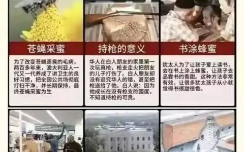 意林当年的神文汇总 ​​​