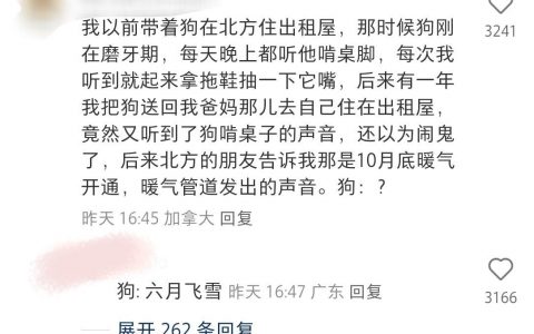 狗：天理昭彰！天理昭彰啊！！！ ​​​