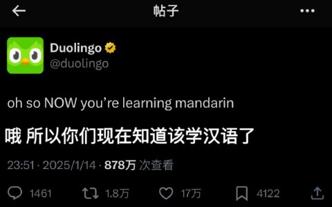 TikTok难民这泼天的富贵让小绿鸟接到了 ​​​