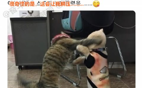 这是我在职场能坚持下去的原因 ​​​