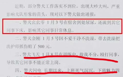 该通报的通报，该表扬的表扬。