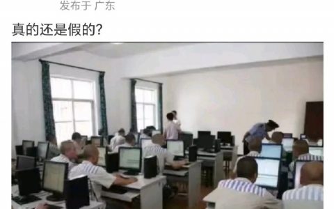 包真的 ​​​