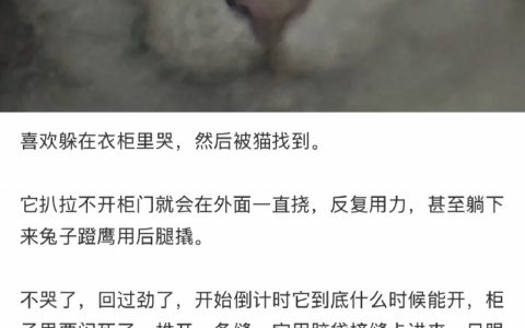 费劲千辛万苦的找到哭泣的主人， 只为了给人类一巴掌