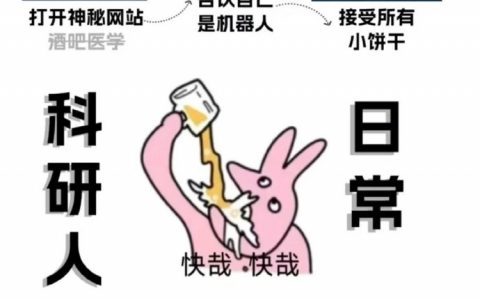 小饼干我能理解，但PDF为啥翻译为李玲玲 ​​​