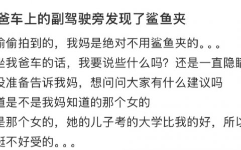 你把头发挽起来夹上，幽幽的问你老爸，你看我有几分像她…