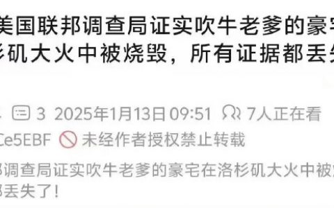 原来为了这碟醋包的饺子啊