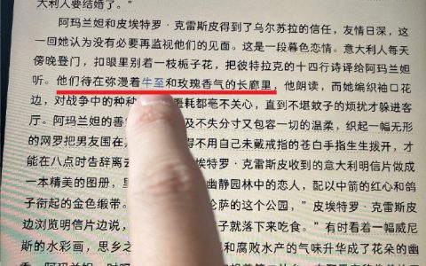 可恶啊，感觉我脑子里的中文语料库已永久性地被互联网污染了