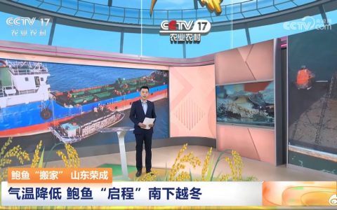 把名贵食材变得不名贵这个事：鲍鱼