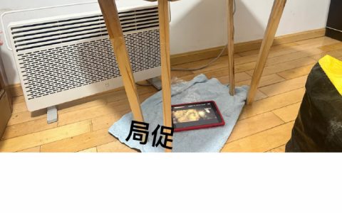 桌子不语只是一味内八 ​​​