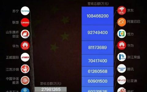 中国民营企业TOP10