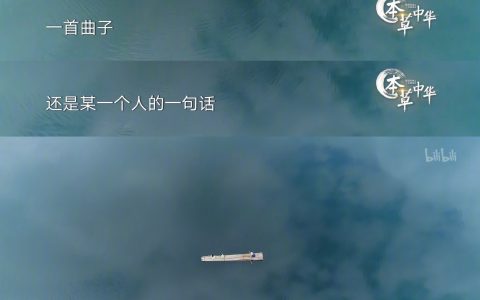 关于“藥”，最美最精确的解释 ​​​