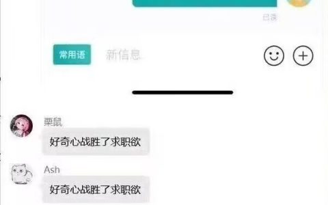 好奇心战胜了求职欲 ​​​