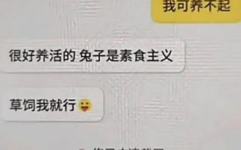 系统推荐的回复……