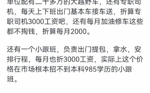 编的，里面待遇都超标了，真当巡查组是假的呢