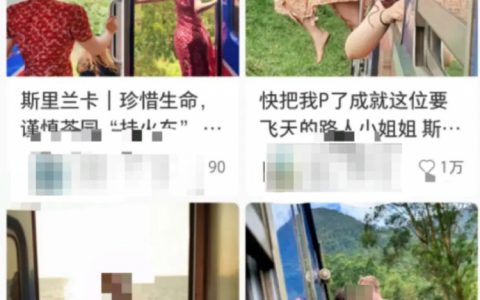 中国游客在斯里兰卡火车上探身坠落 伤势严重