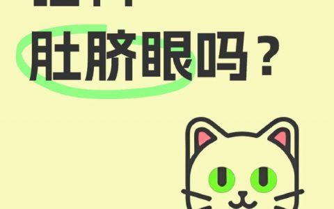 诶？？？第一次看到猫猫的肚脐眼… ​​​