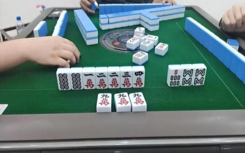 打麻将无限子弹也会赢，对手都让熬死了
