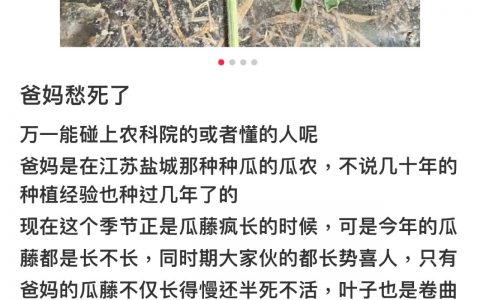 真好啊，以前农民种田，有多少人能随便问到博士教授这些专业人员？现在上个网就行