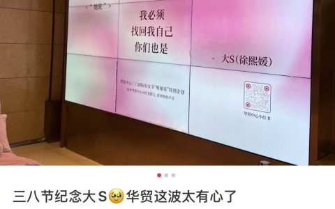 华贸中心三八妇女节文案用了大S发的微博