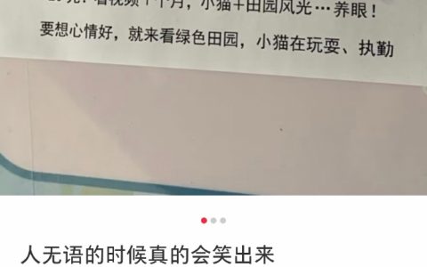 小猫下乡汇演，俺不中了……
