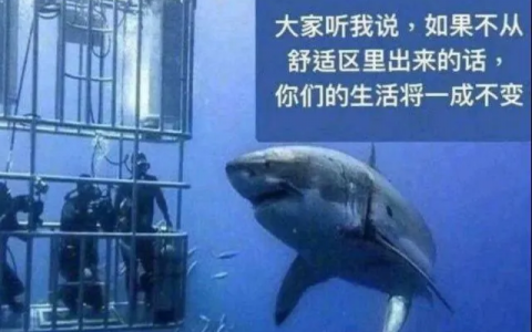 中年人请不要随意逃离你的舒适区？
