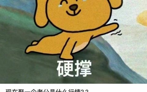 “现在娶一个老公是什么行情？”