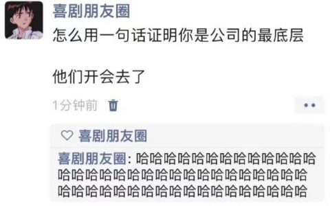 一句话证明你是公司最底层