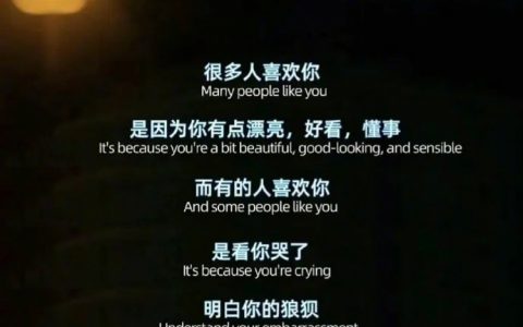 真正爱你的人明白你的狼狈 ​​​