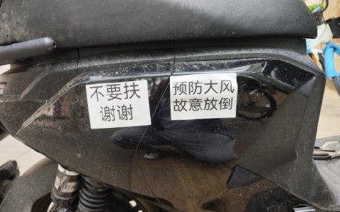 与其被吹倒不如主动躺平。 ​​​