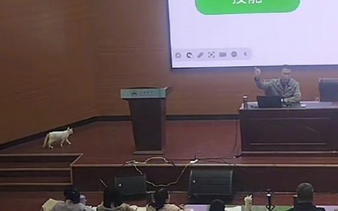 猫教授被禁止发言了
